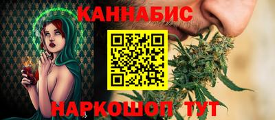 шишки Кимры