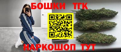 шишки Кимры