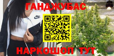 дживик Кингисепп