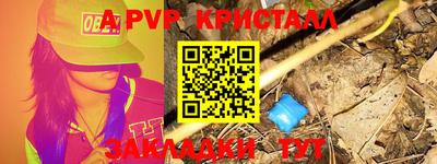 шишки Кимры