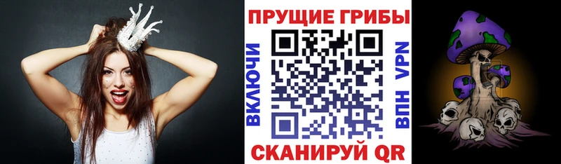 сколько стоит  Нефтекамск  Галлюциногенные грибы Cubensis 