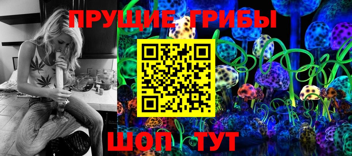 Псилоцибиновые грибы мицелий Нефтекамск