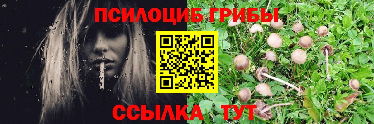 Нефтекамск  Псилоцибиновые грибы мухоморы  Вход с VPN 